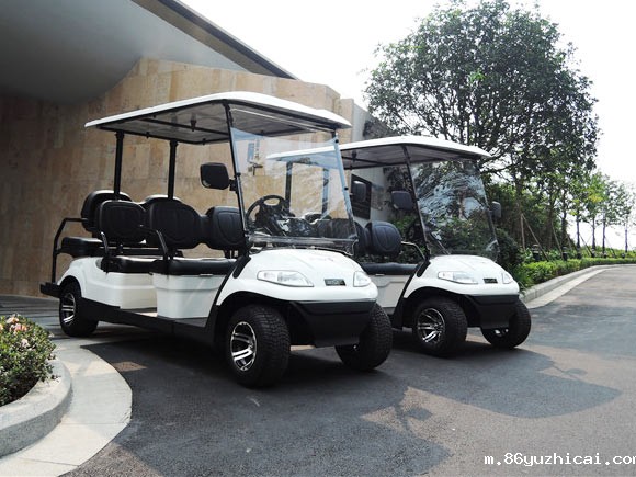 南山酒店--6座高尔夫球车