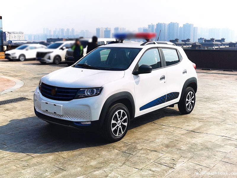 5座SUV电动巡逻车-小型车