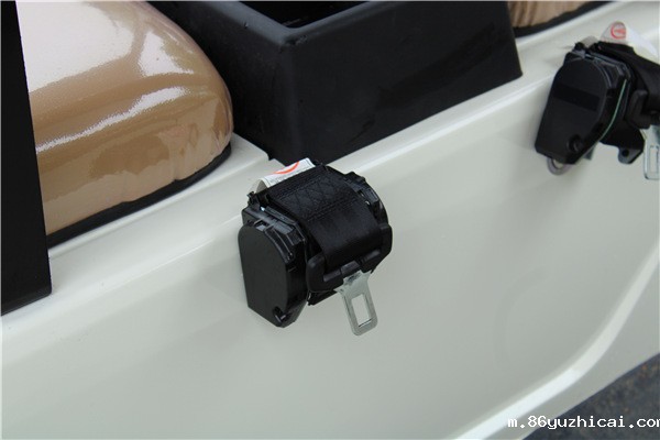 11座电动观光车-安全扣