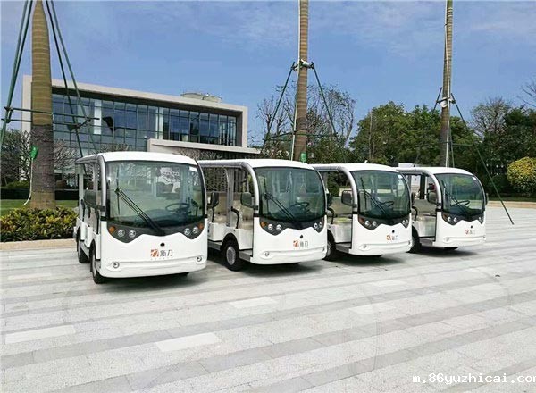 11座电动观光车厂家-茶园