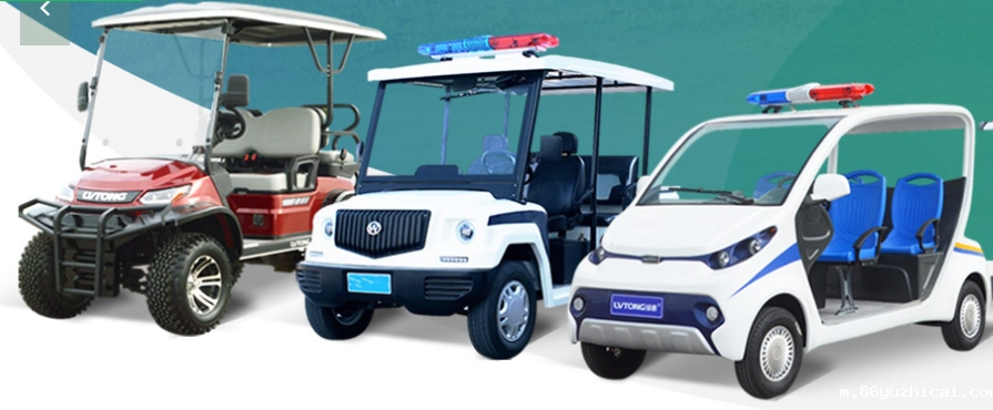 电动巡逻车品牌